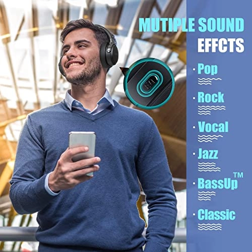 WH202A Wireless Headphone