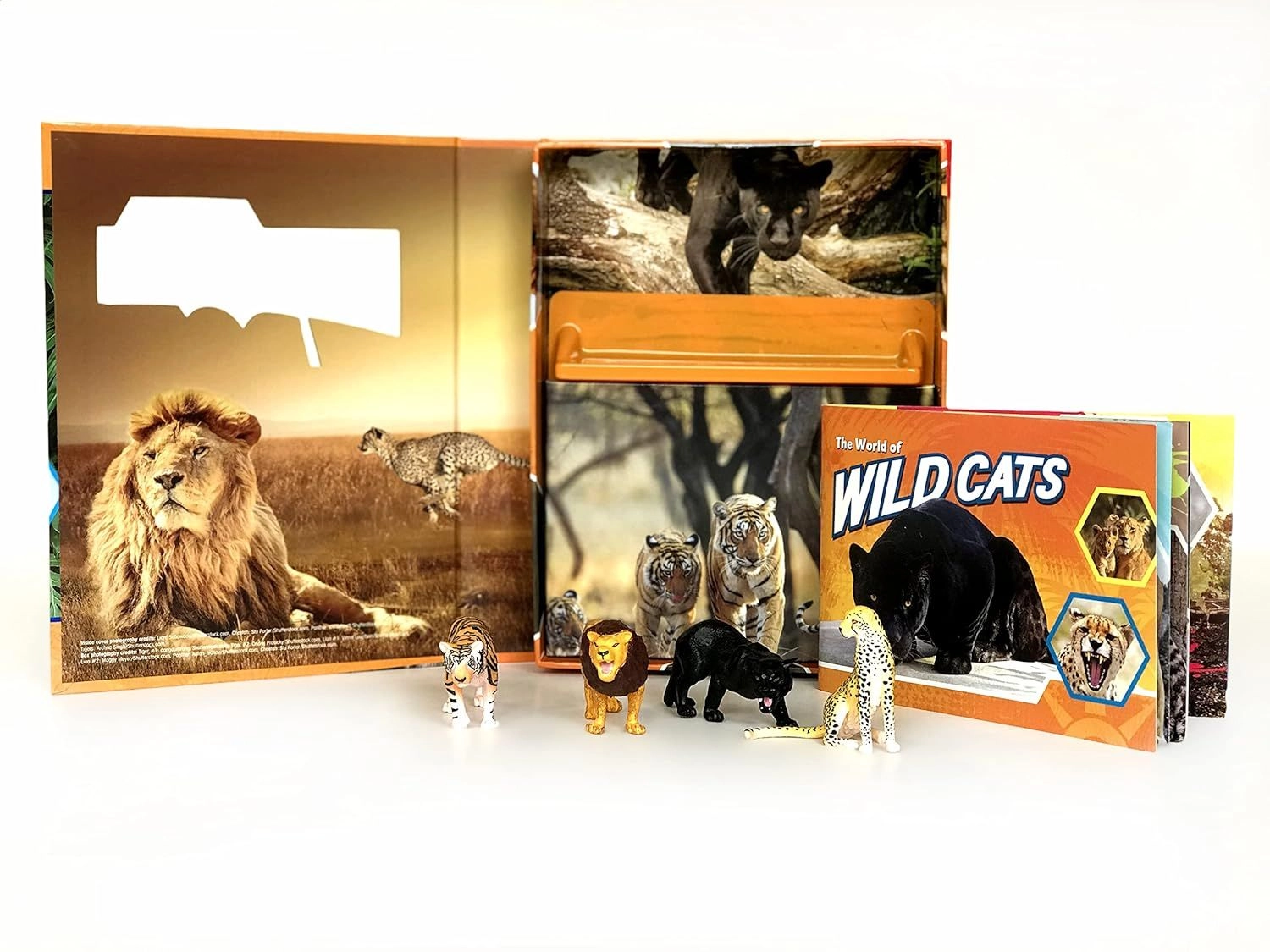 Wild Cats Pocket Explorers - 3 +