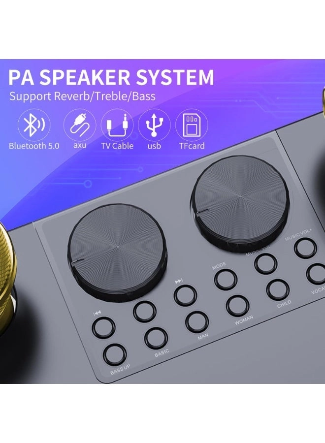 M25 - Wireless Bluetooth Karaoke System