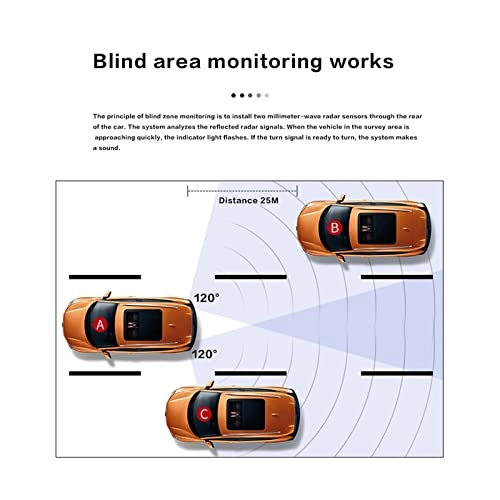 Blind Spot Detection System