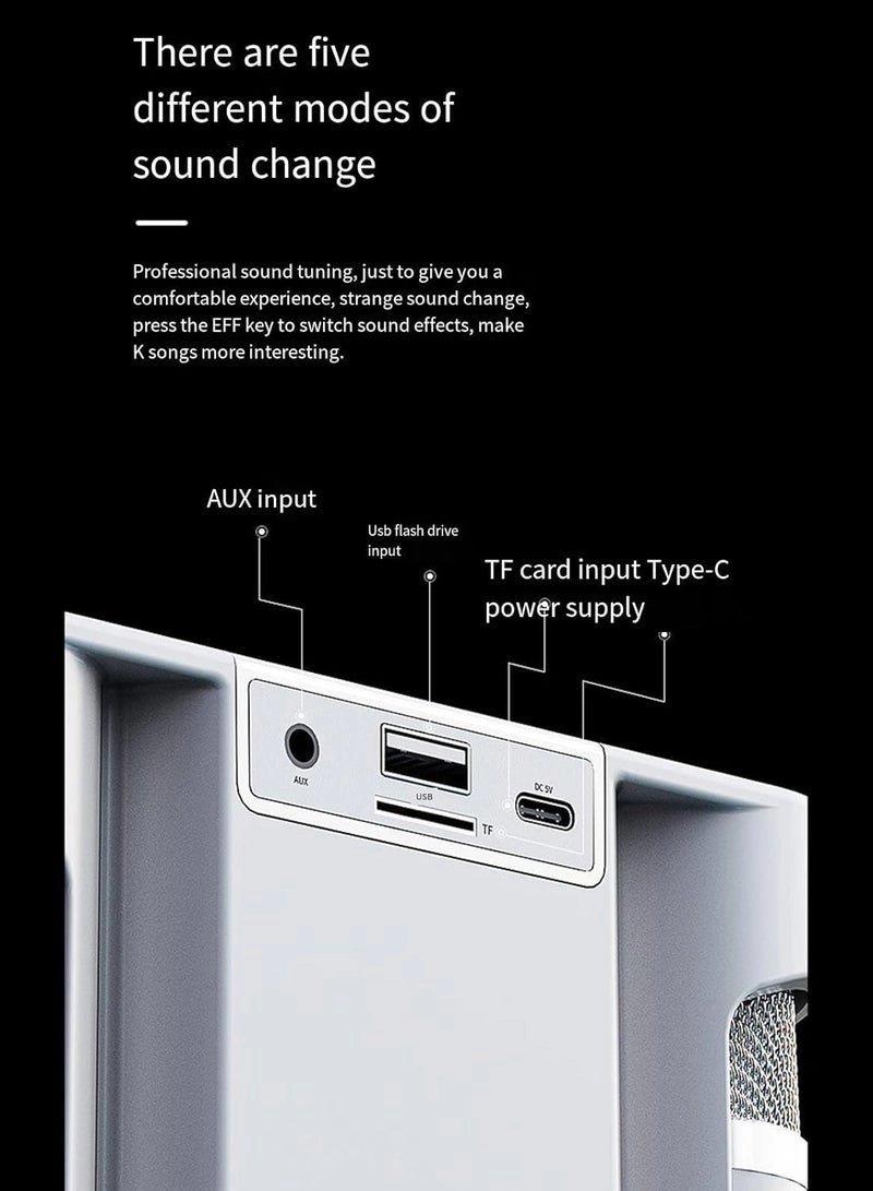 SD-508 - Dual Wireless Microphones