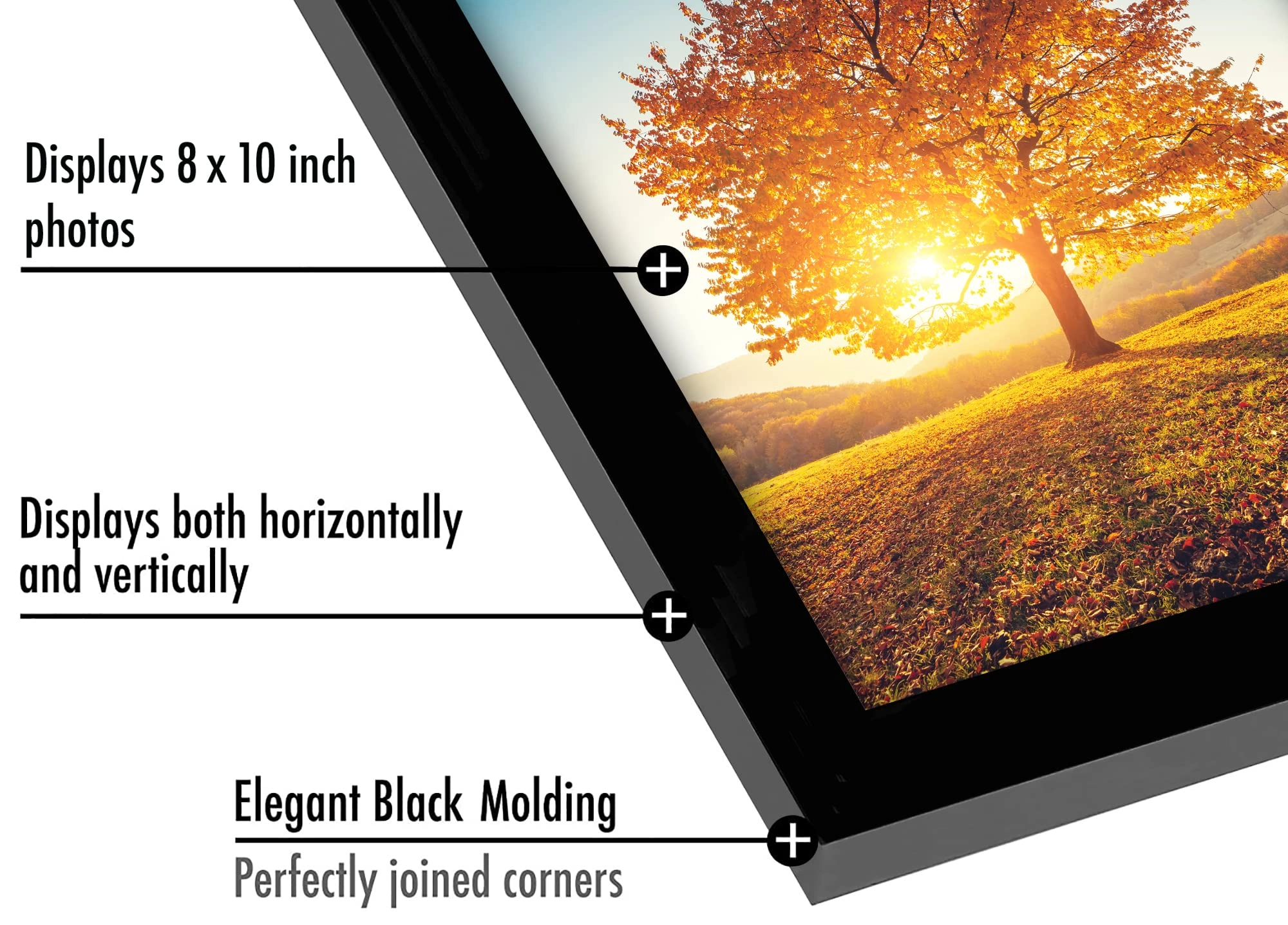8x10 Picture Frame - 1