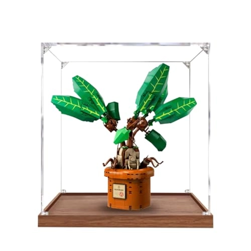 Figures Display Box - 30x30x30cm 2mm Acrylic