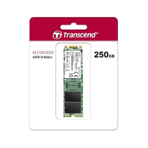 MTS825S - 250GB M.2 2280