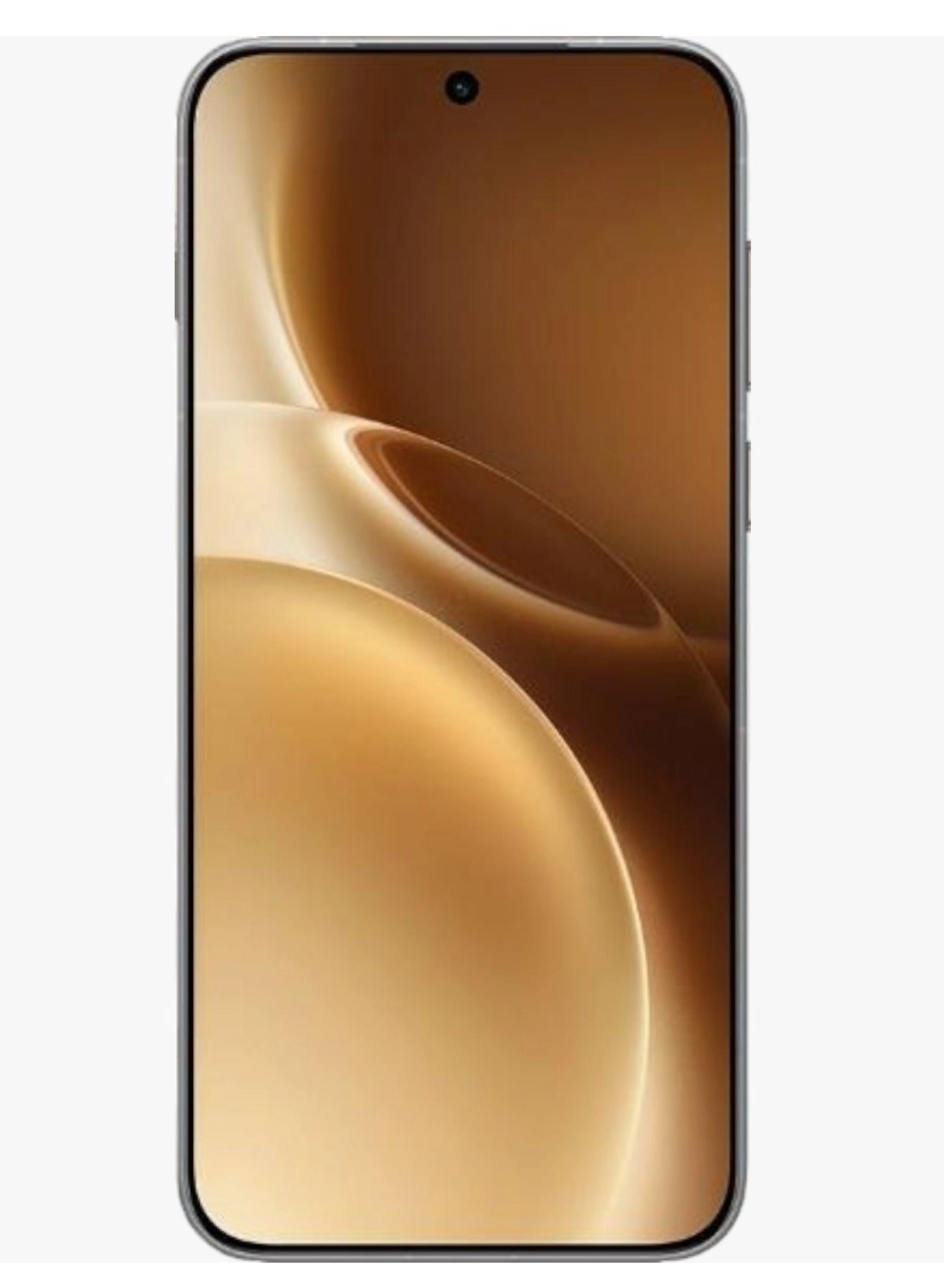 X300 Pro - 12 GB 256 GB