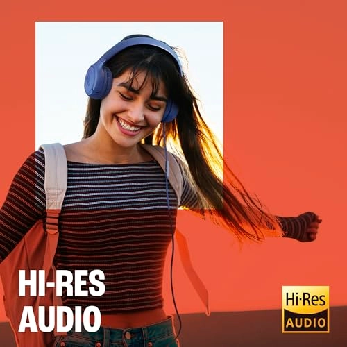 Tune 530C Wired Headphone