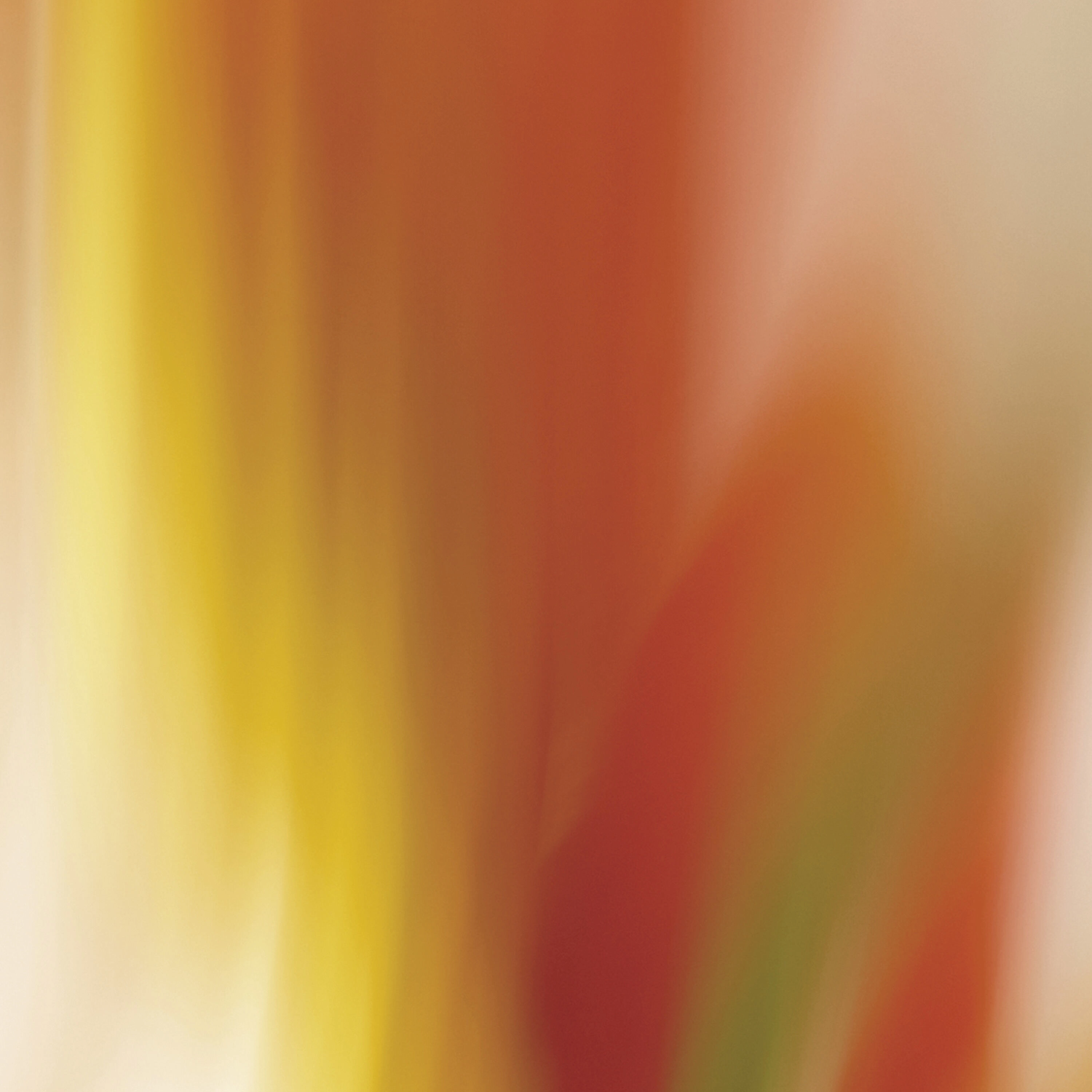 L'Eau Rêvée d'Isa Eau de Toilette - 100ml