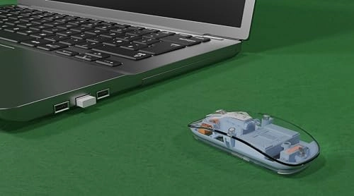 MXM-T901 Transparent Mouse - Wireless