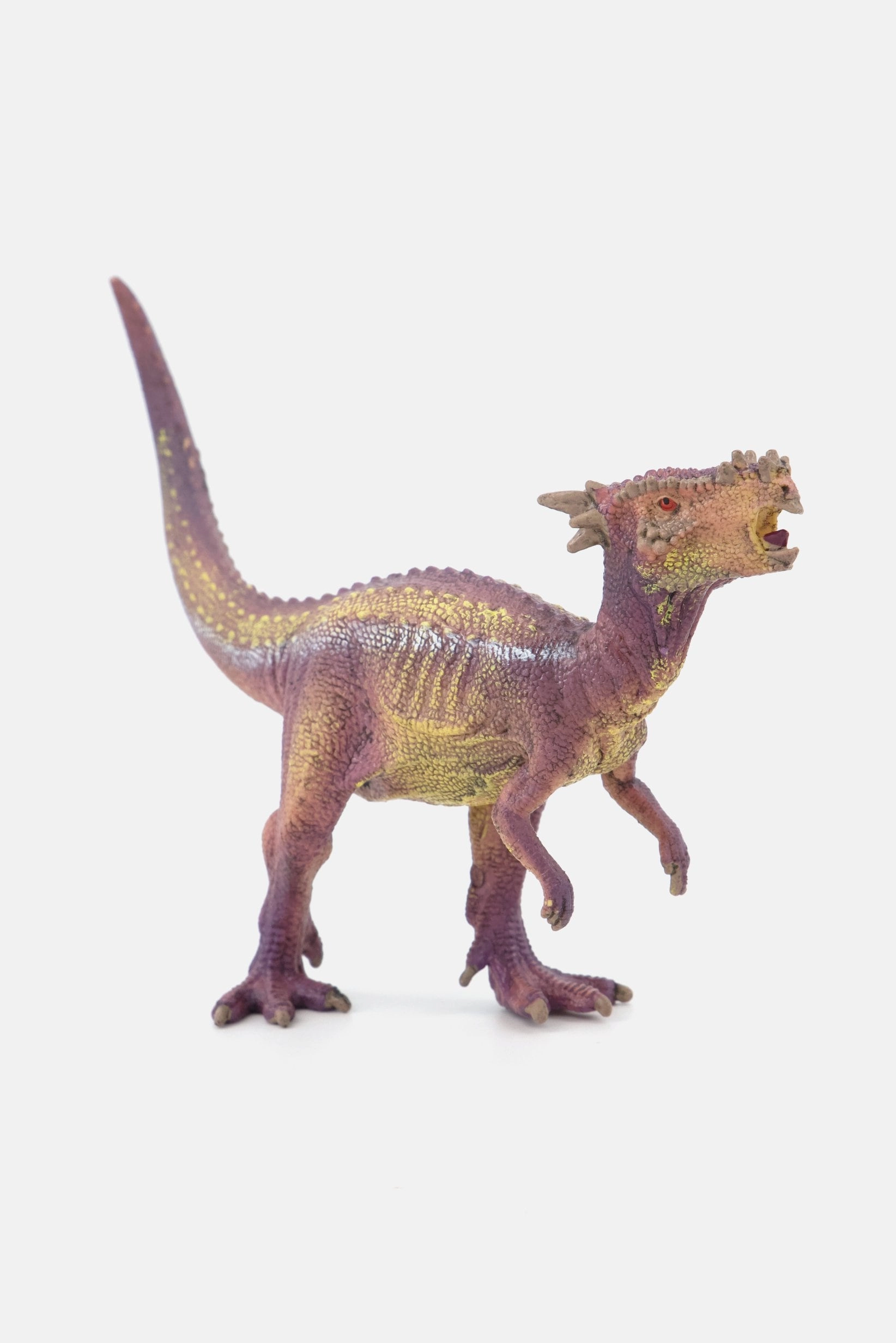 Dracorex - 4+ Years No Character