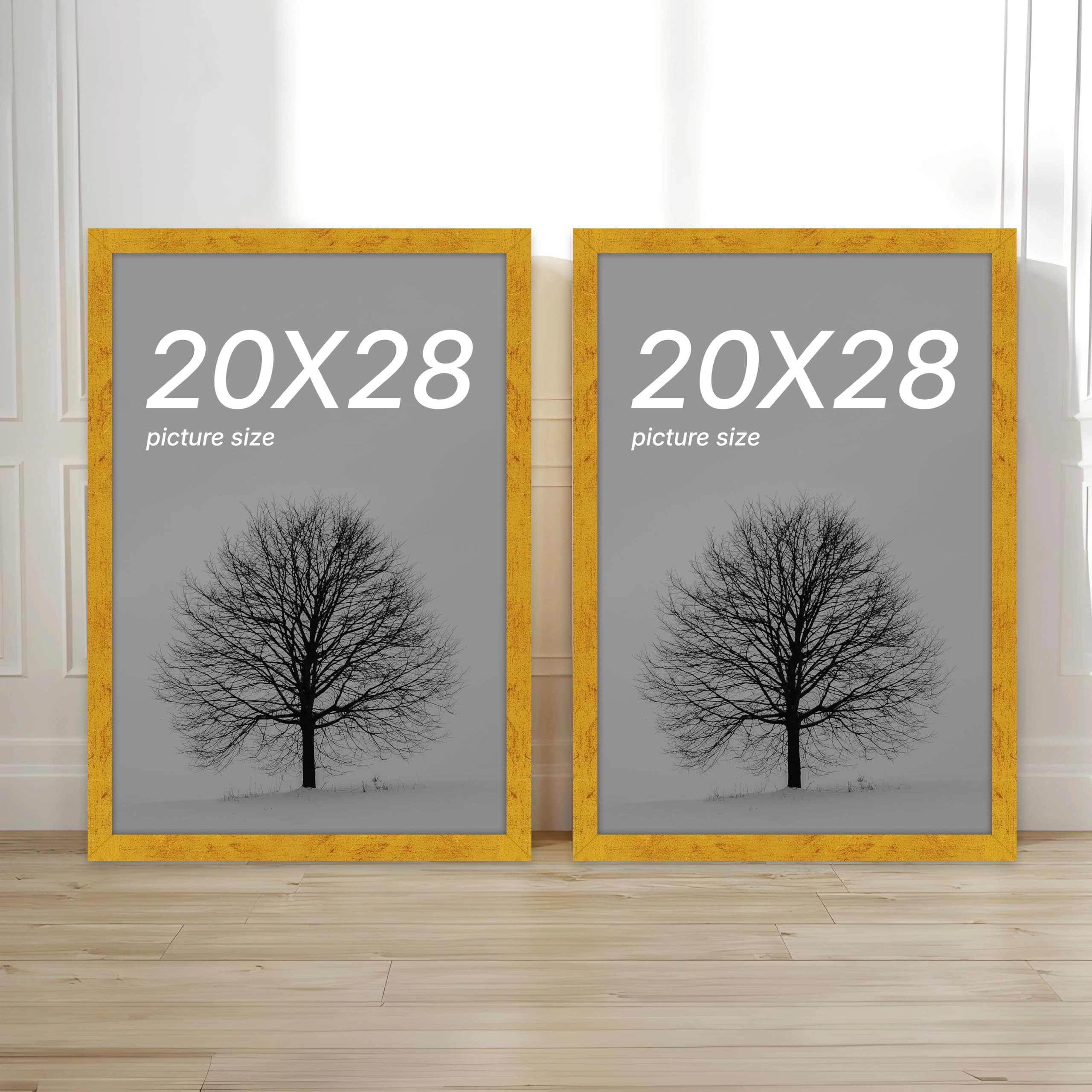 Document Frame - 20x28 Inch