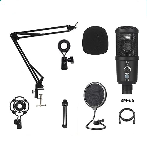 BM-818 USB Microphone