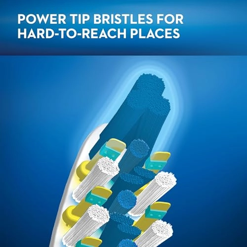 Pro-Expert Pulsar - Medium