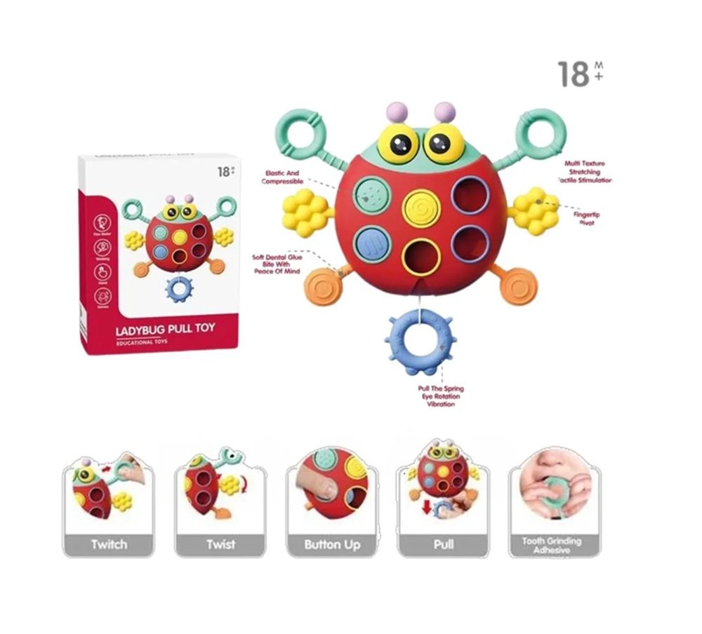 Ladybug Pull Toy - 1 piece(s)