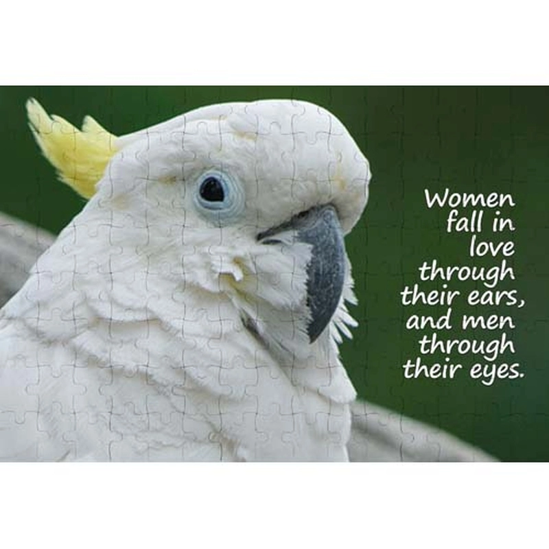 Ajooba Dubai Love Puzzle (2346)