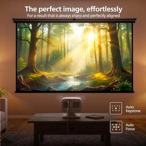 NeoPix 450 NPX 450/INT Up to 500 lumens