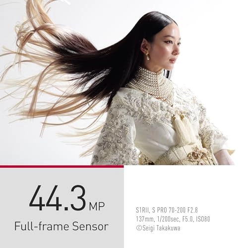 LUMIX S1
