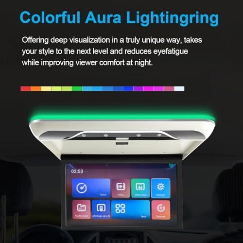 Car ceiling display - 19-Inch