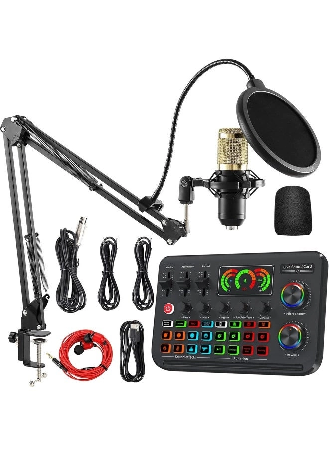 DRAKLAW Condenser Microphone Set Wireless+USB Microphone