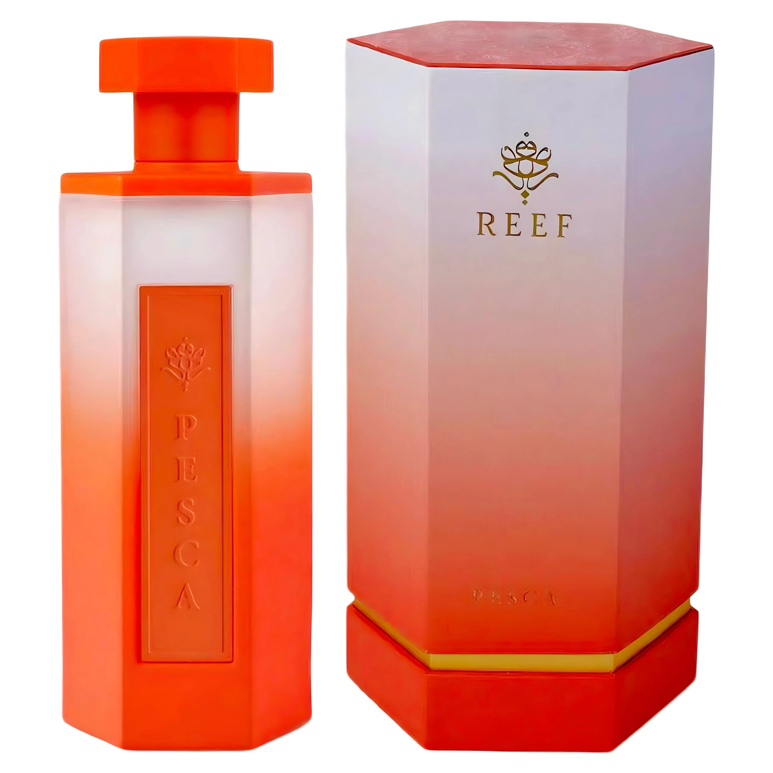 Reef Pesca Perfume Eau de Parfum 200 ml