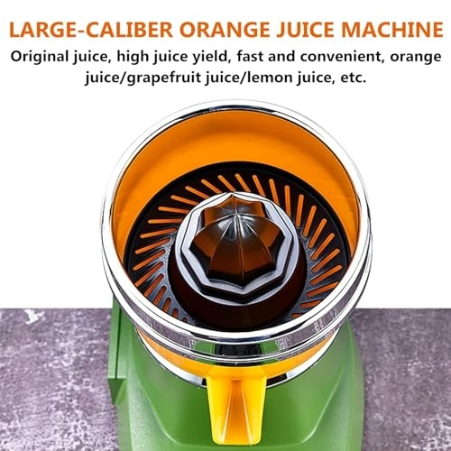 Electric Juicer - 250W