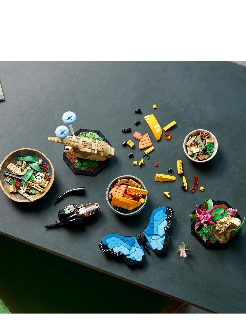 Ideas The Insect Collection (21342)