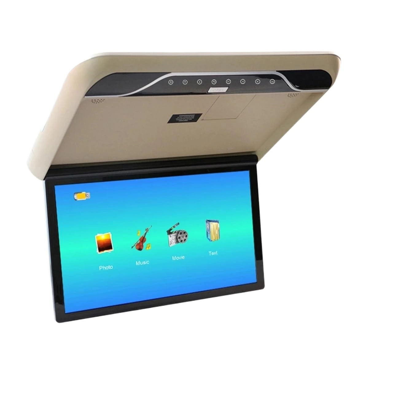 Roofmount LCD Monitor - 19in