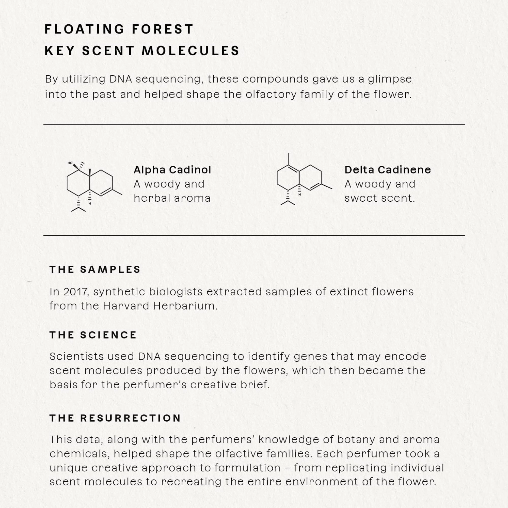 Floating Forest Eau de Parfum 50ml