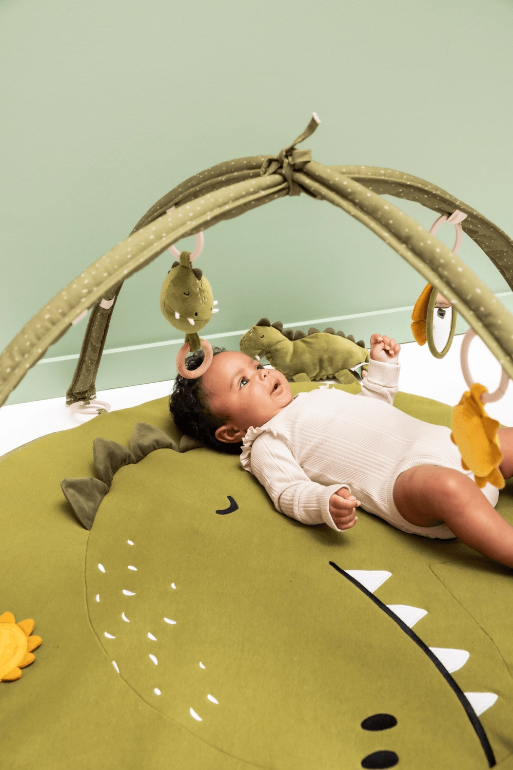 Activity Play Mat With Arches - Mr. Dino 3 months