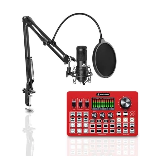 Audio Array AM-C43 - Condenser Microphone + AI-10 - Sound Card 14 FX
