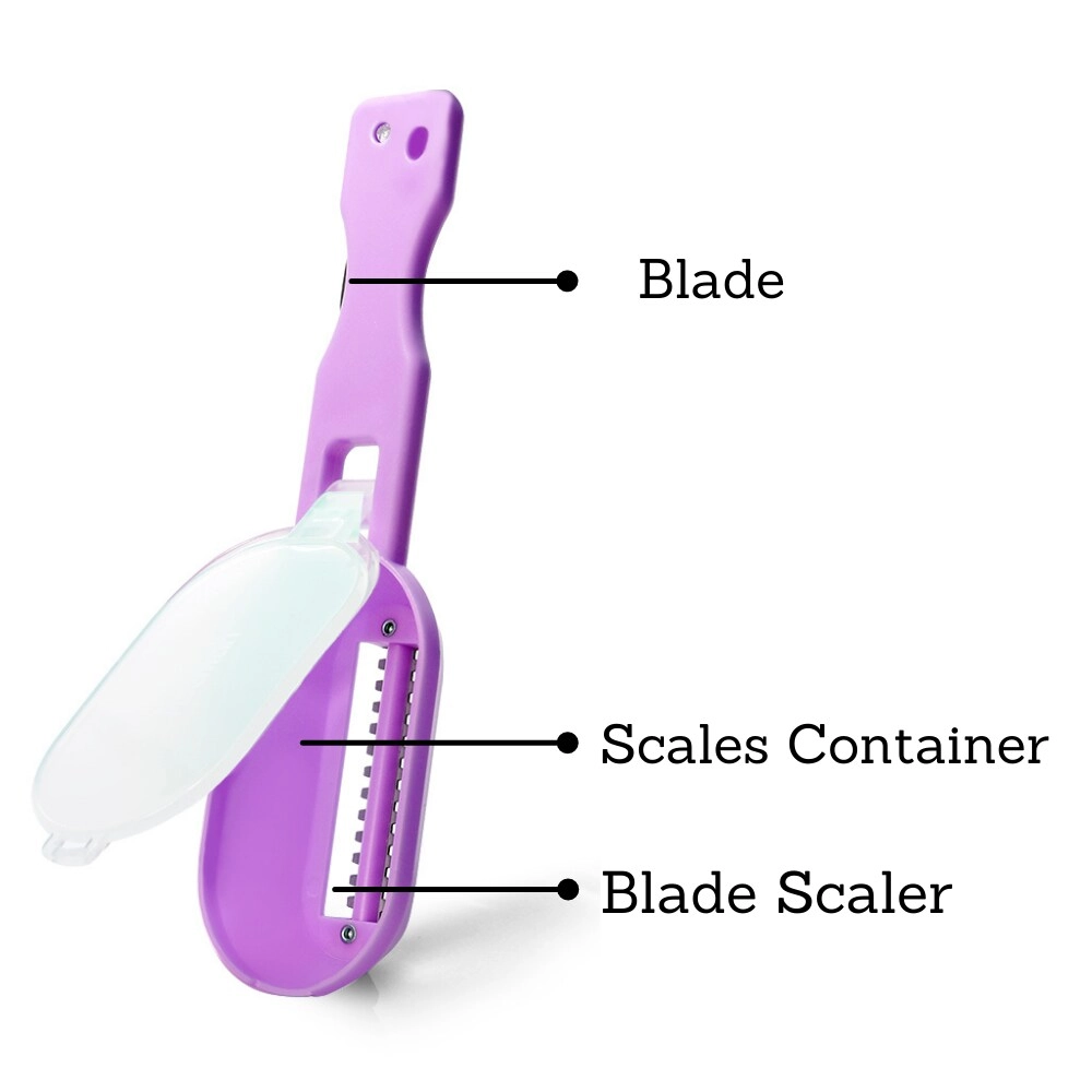 Fish Scaler - Moon-Shaped Knife Container
