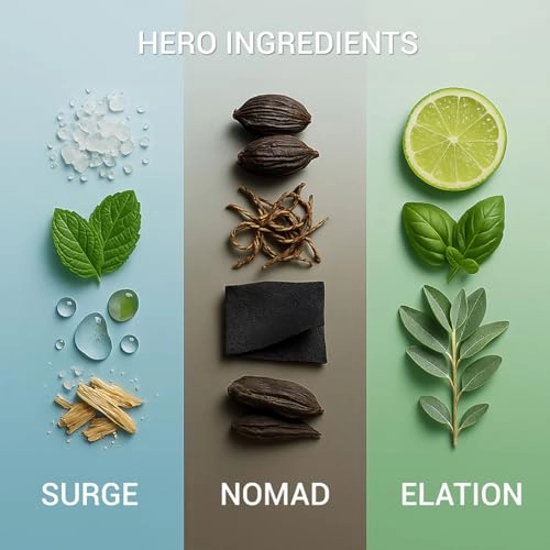 Perfume Gift Set - Surge, Elation & Nomad Pack of 3 30ml