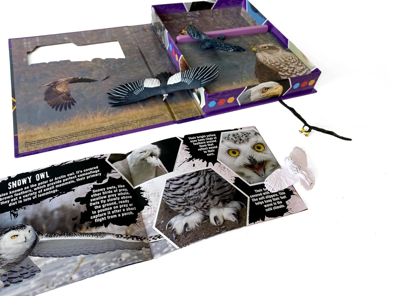 Birds Of Prey Pocket Explorers - 3 + 4 pieces