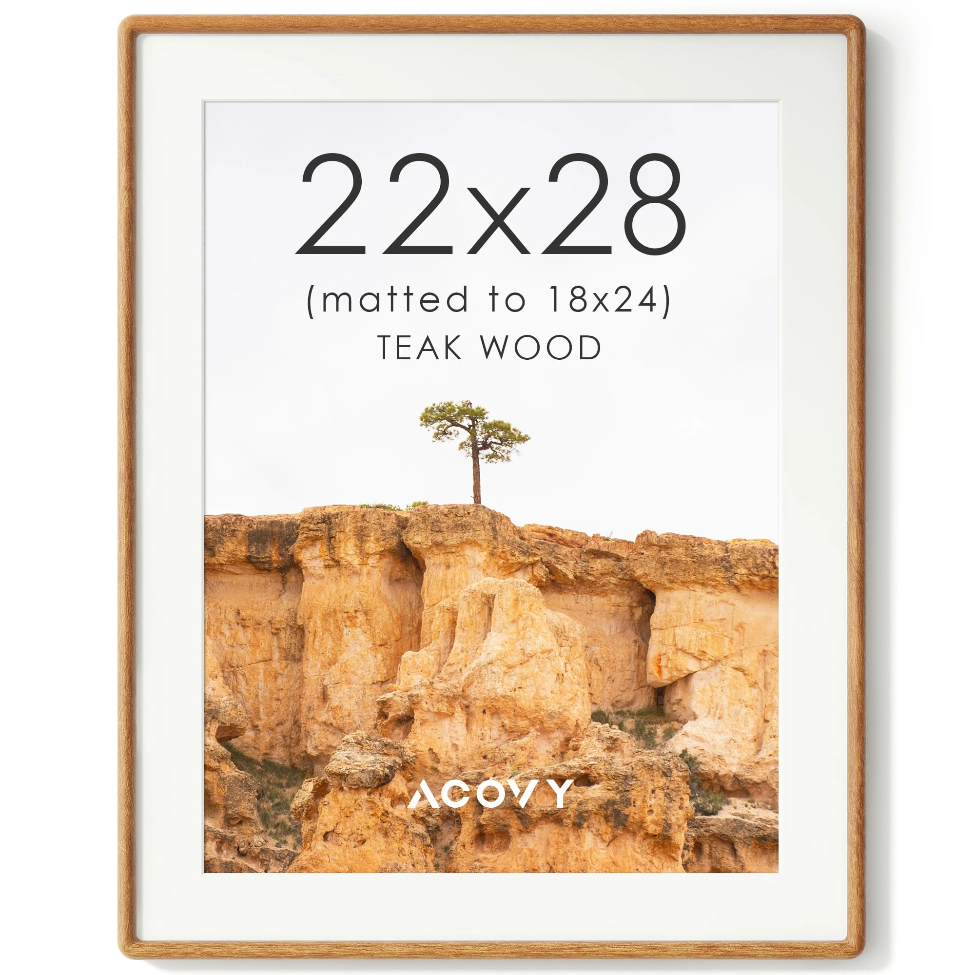 acovy Picture Frame - 22"x28"