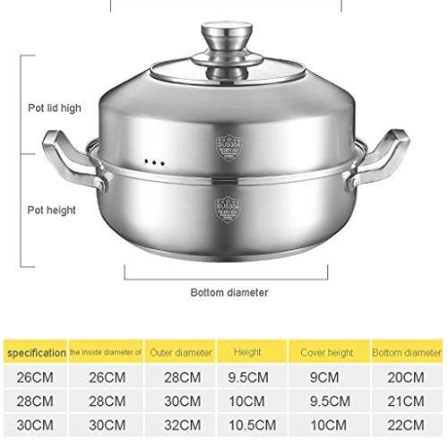 Electromagnetic Steamer