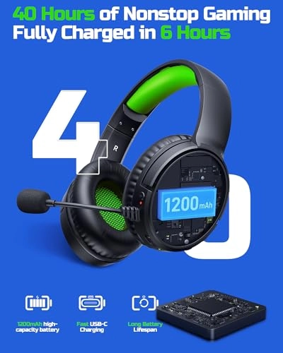 BW02-BT Wireless Headset