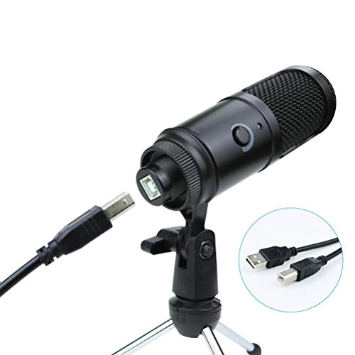 V8 Wired Microphone