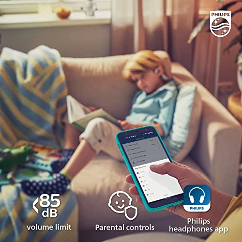 TAK4607GY/00 Wireless Headphone