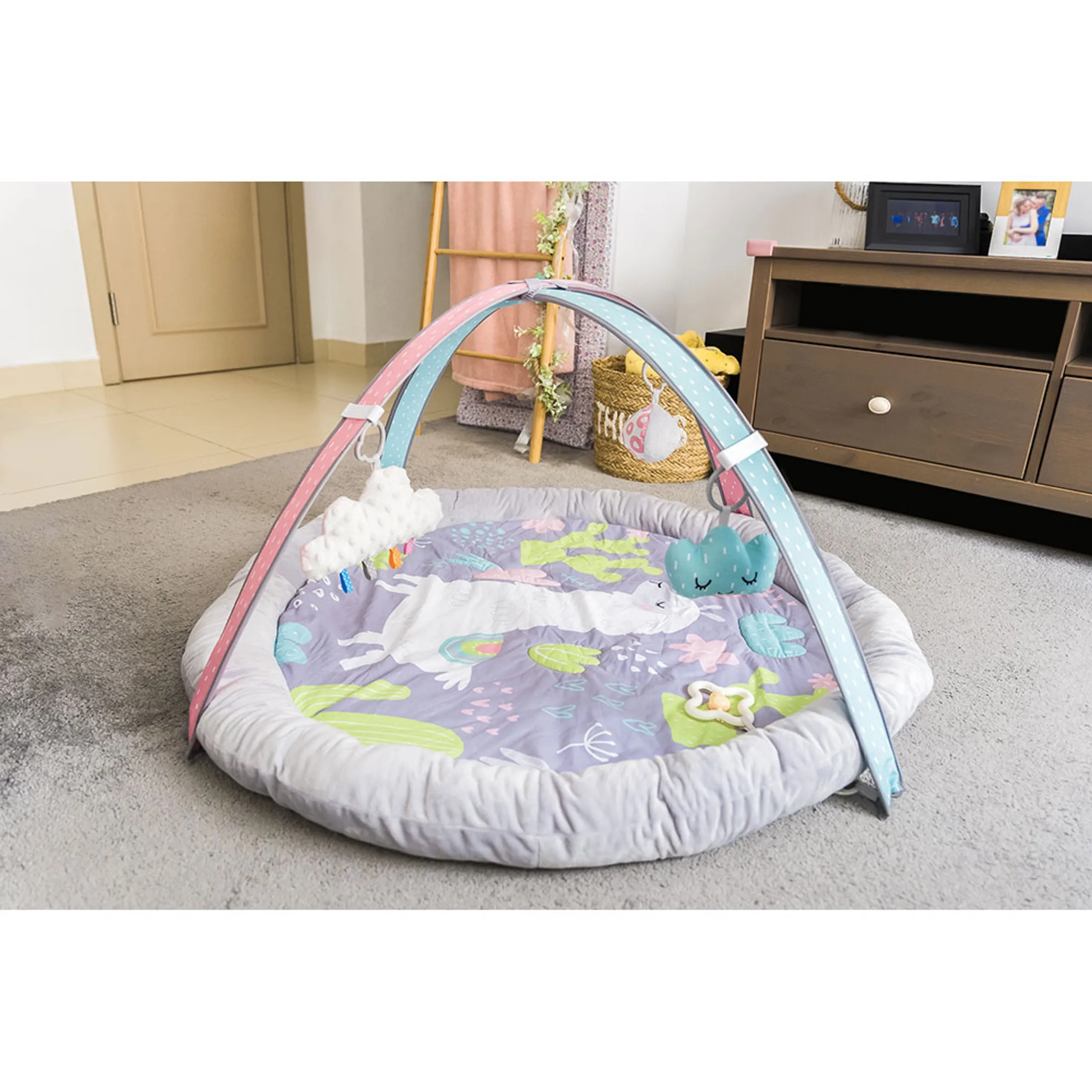 Little Llama - 0 month & above