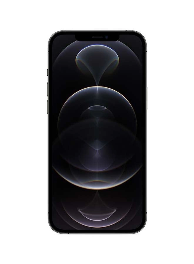 iPhone 12 Pro Max - 256GB