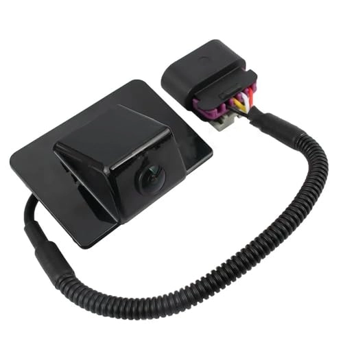 15173619 - Night Vision