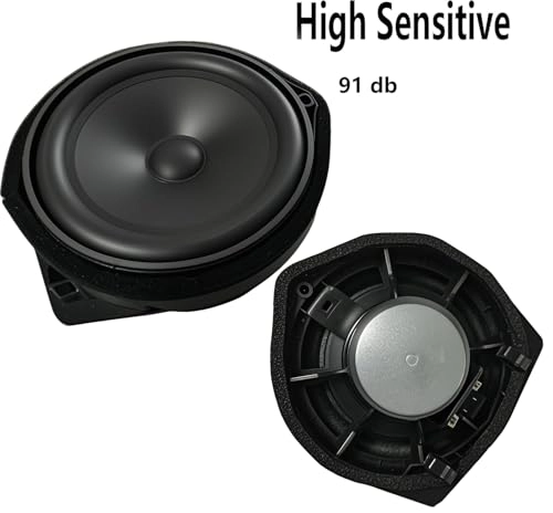 Upgrade Speaker