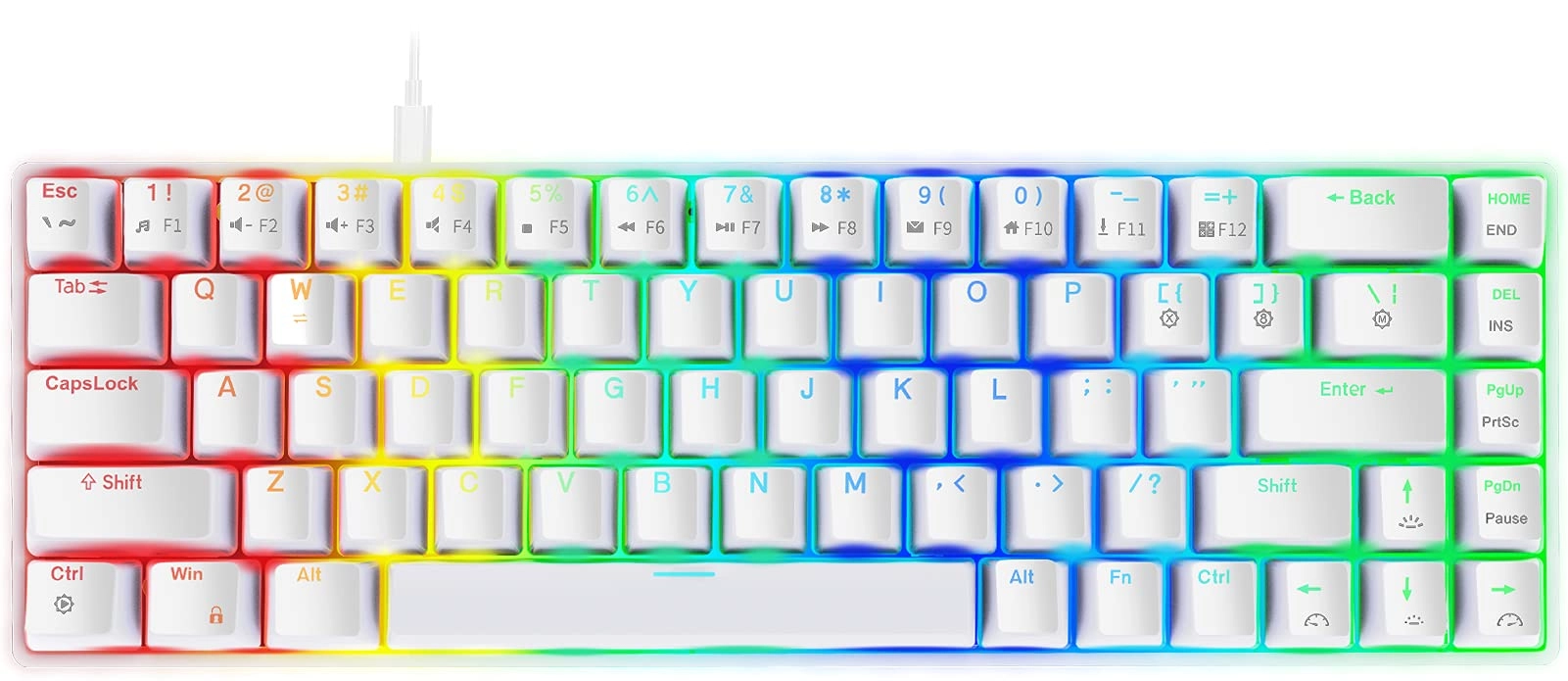 NPET T10 - US Wired