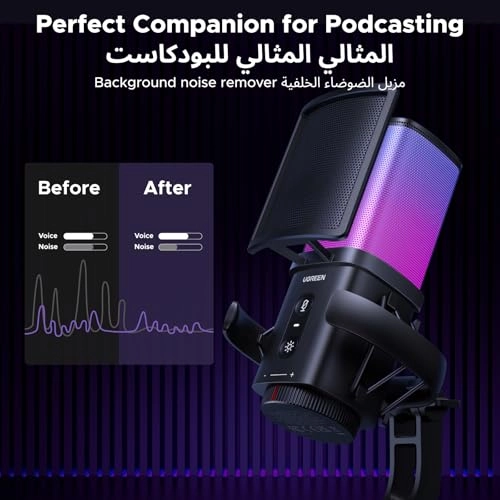 65629 USB Microphone