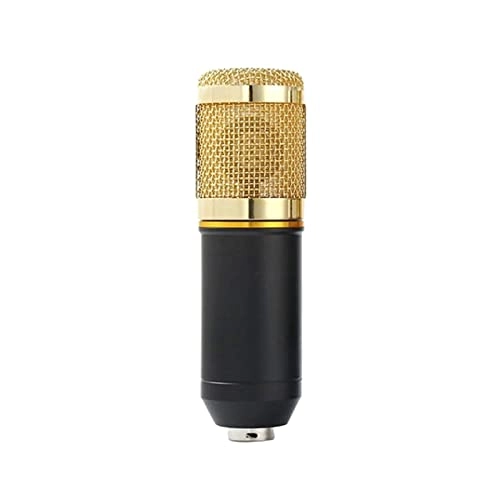 BM-800 Wireless+USB Microphone