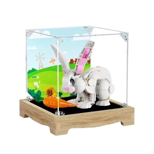 Figures Display Box - LEGO