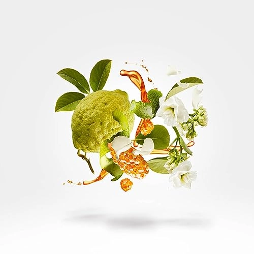 1861 Naxos Eau de Parfum - 100 ml