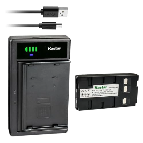 Battery and Smart USB Charger - 2100mAh