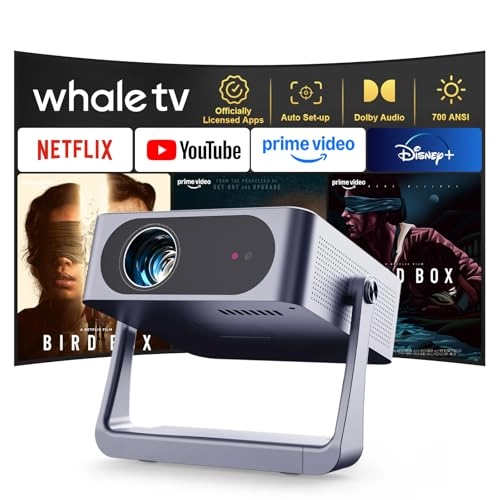 AE-C6 700 ANSI lumens 1080P