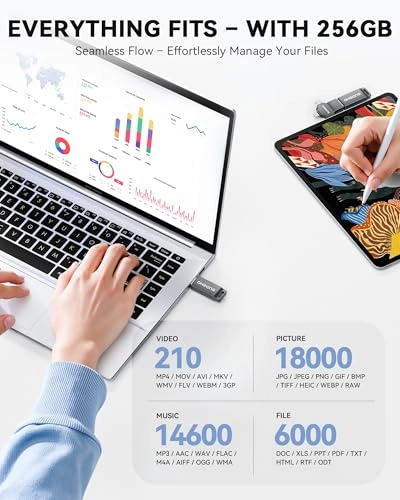 USB Stick - USB 3.0 Lightning 256GB