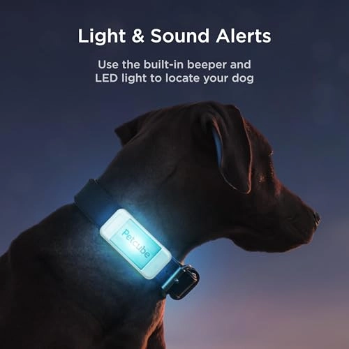GPS Tracker
